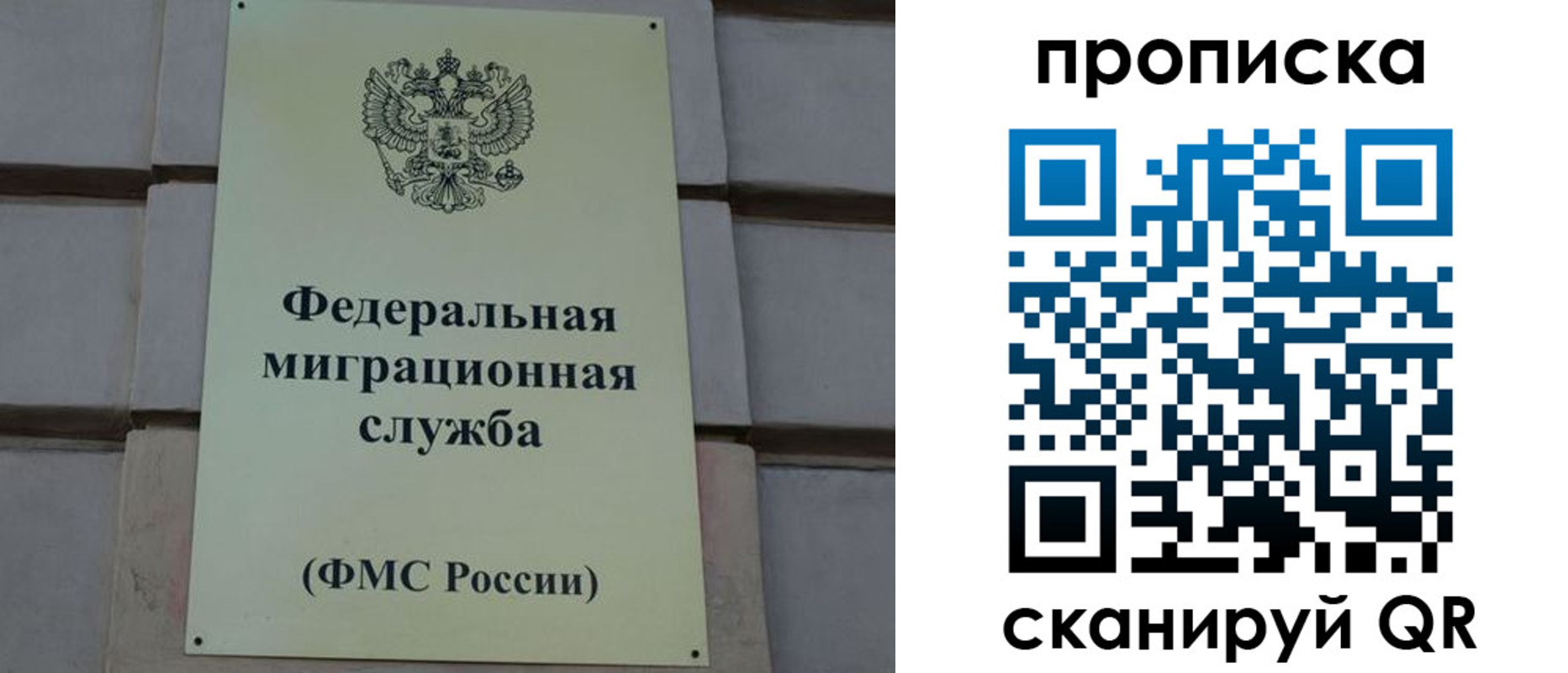 прописка поиск в Бокситогорске